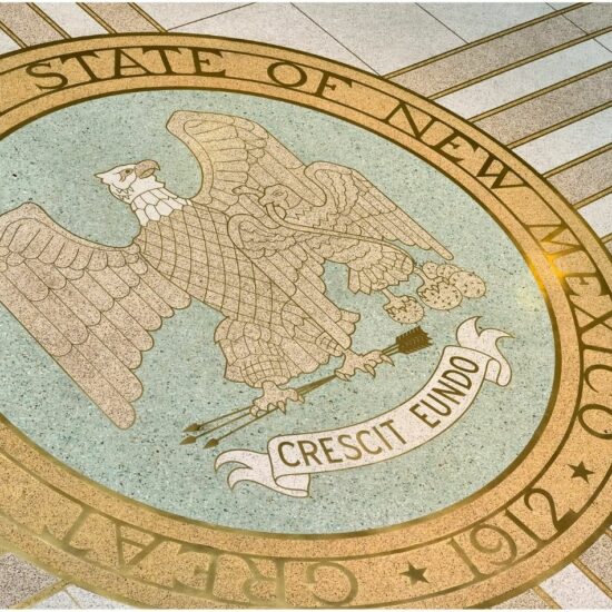 The 2023 legislative session came to an end with a total of 71 bills being introduced with the specific intentions of changing education in New Mexico. Of all these bills, 18 became law, 49 bills died, and four were vetoed by Governor Michelle Lujan Grisham.